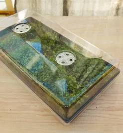 Lee Valley Seed Starting>2 1/2" Humidity Dome