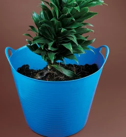 Lee Valley Storage & Organization><noscript><img width=