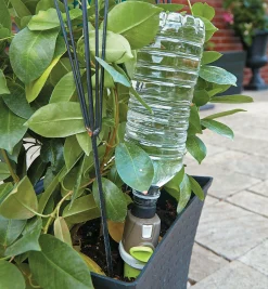 Lee Valley Indoor Gardening><noscript><img width=