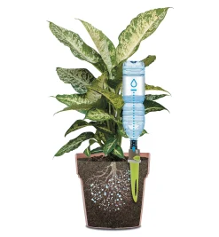 Lee Valley Indoor Gardening><noscript><img width=