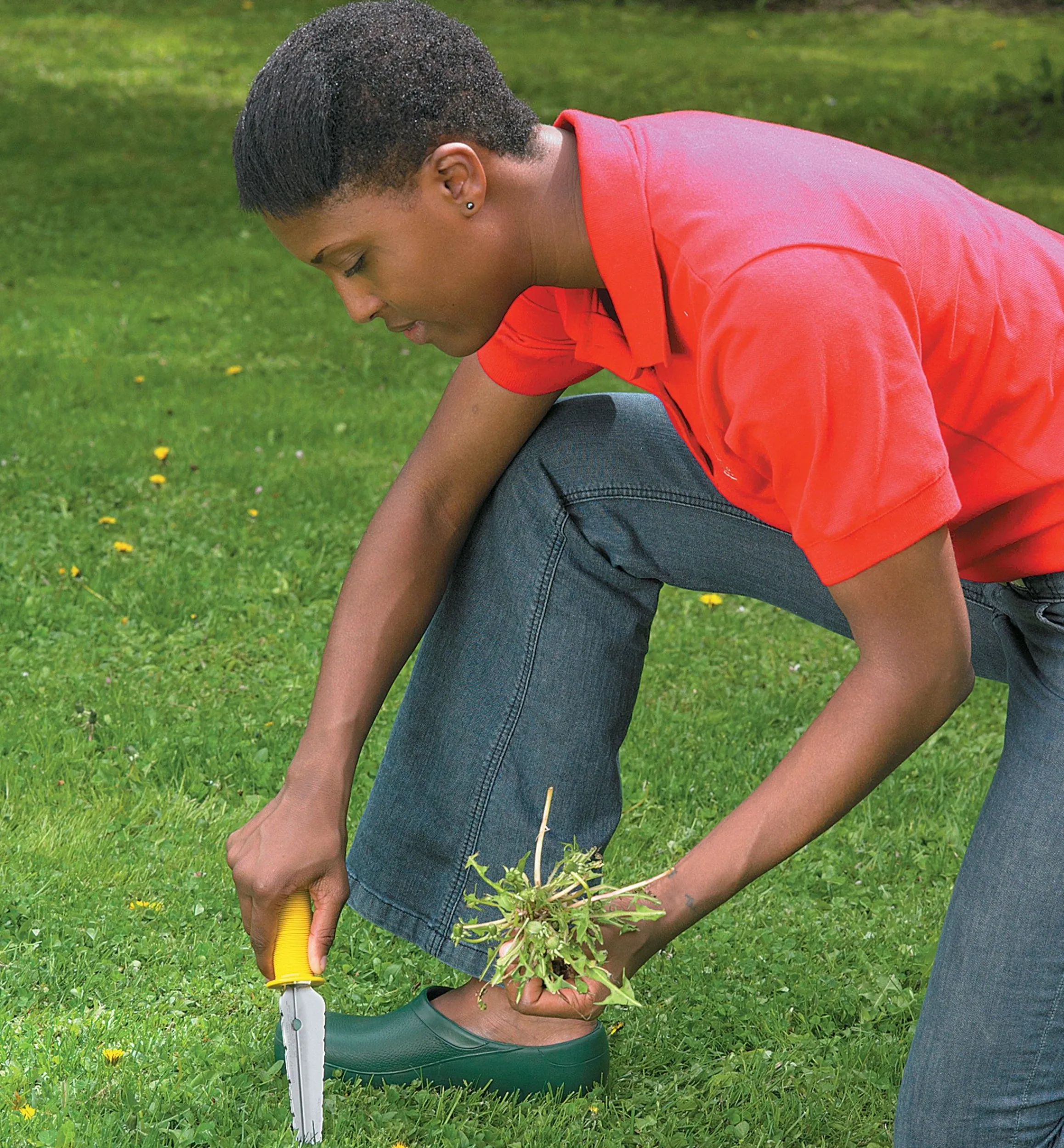 Lee Valley Weeding>All-Purpose Lifetime Weeder