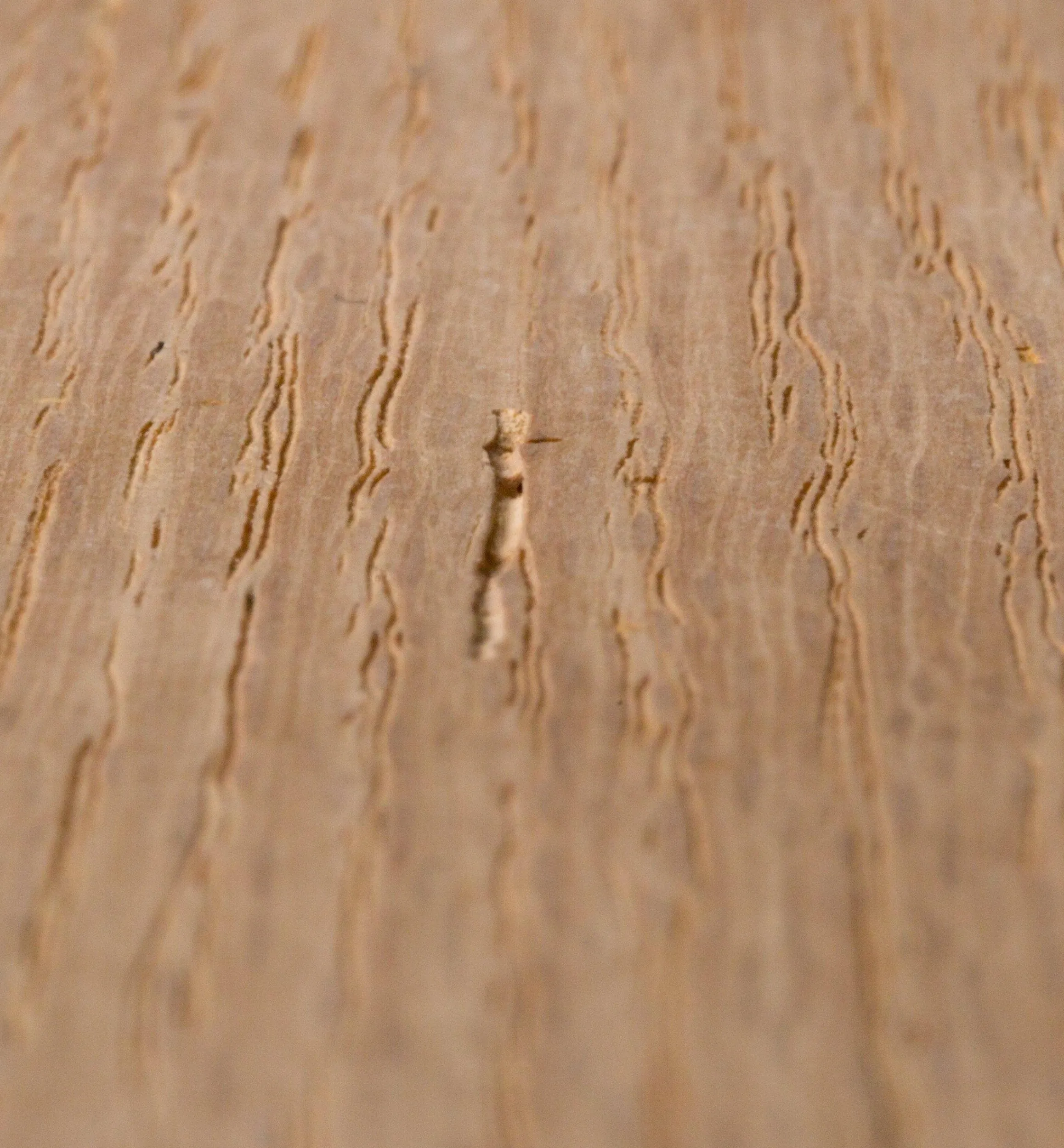 Lee Valley Supplies>Aqua Coat Wood Grain Filler