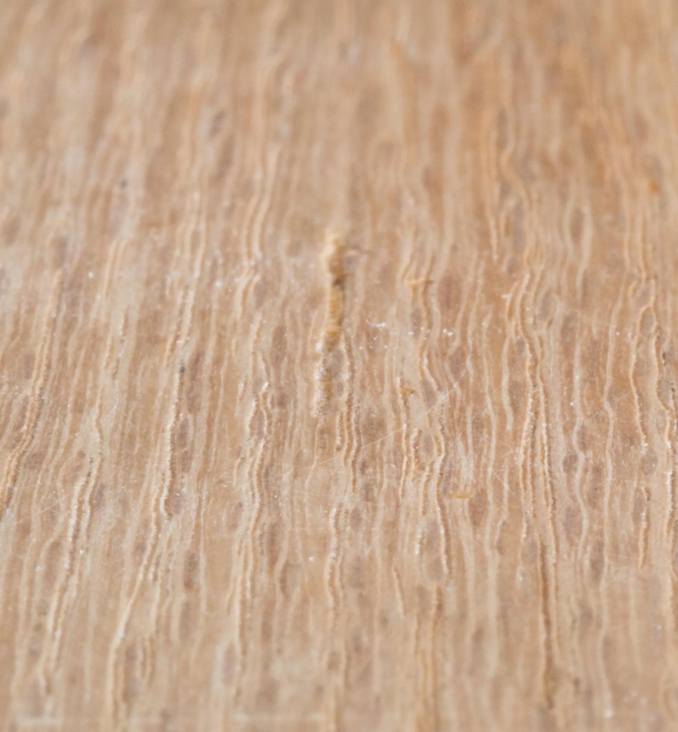 Lee Valley Supplies>Aqua Coat Wood Grain Filler