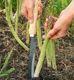 Lee Valley Harvesting>Asparagus/Harvest Knife
