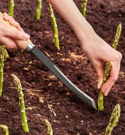 Lee Valley Harvesting><noscript><img width=