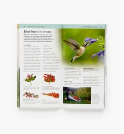 Lee Valley Birding><noscript><img width=