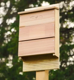 Lee Valley Habitats>Bat House