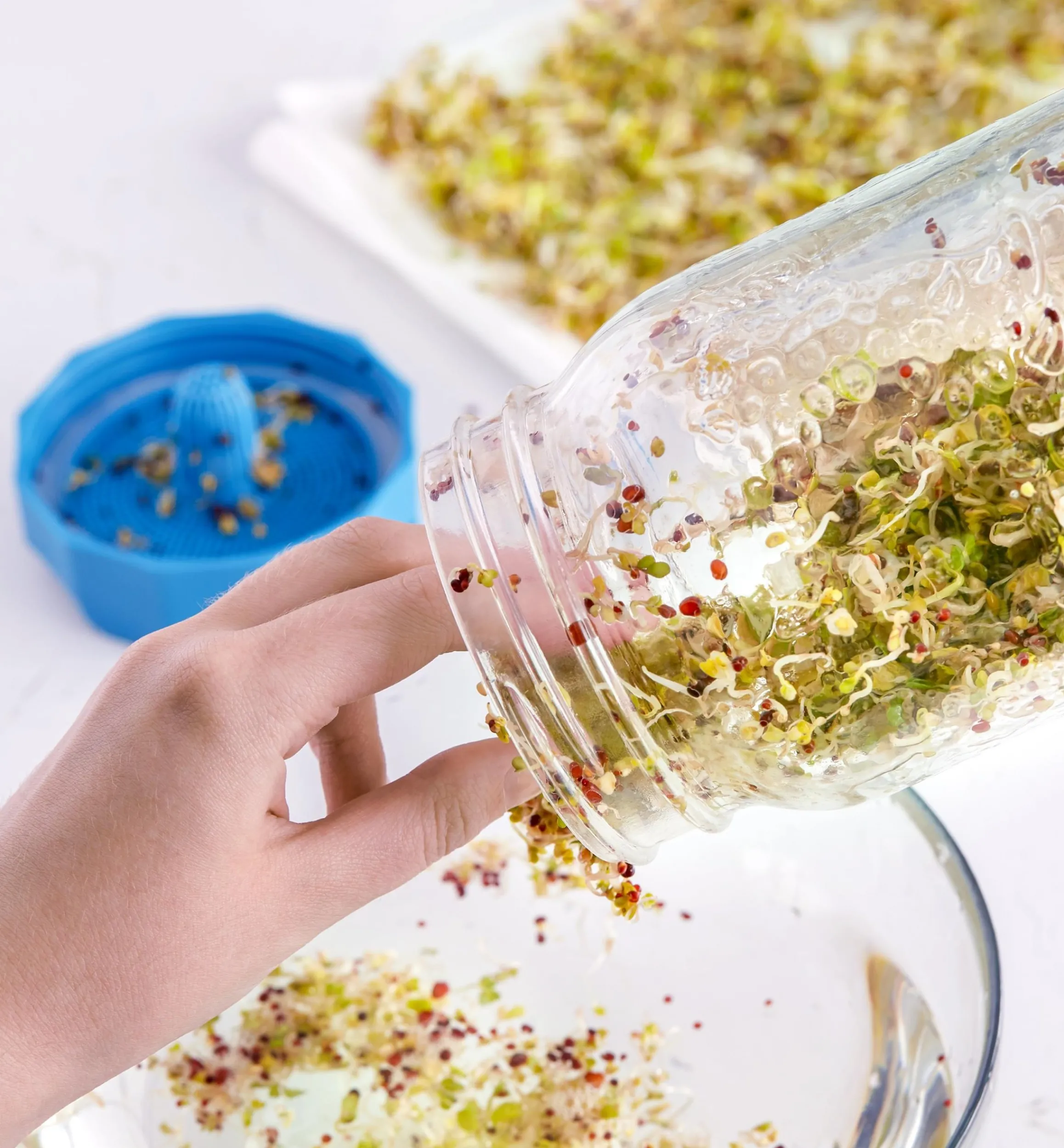 Lee Valley Seed Starting>Bean Screen Sprouting Lids