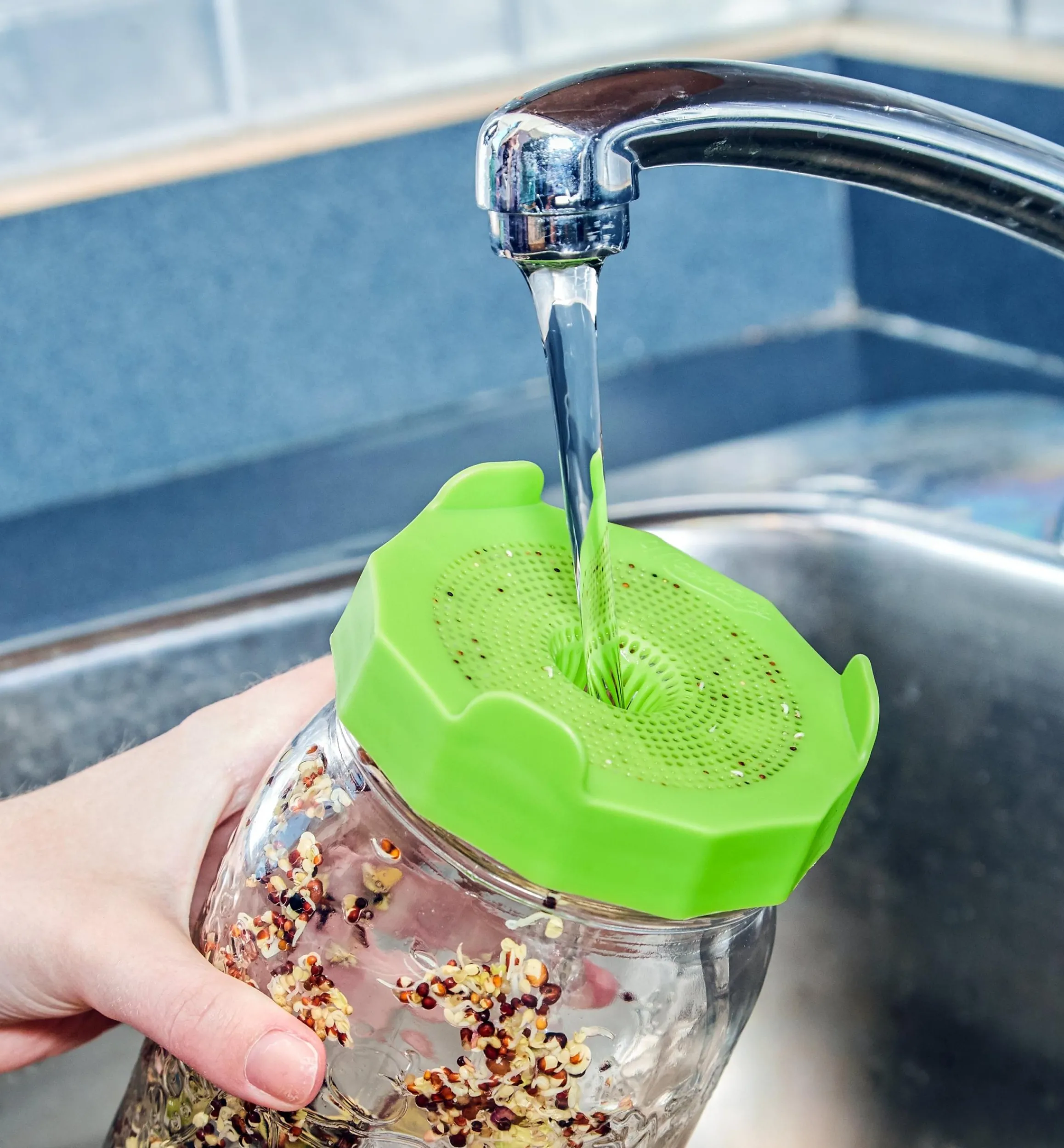 Lee Valley Seed Starting>Bean Screen Sprouting Lids