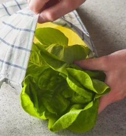 Lee Valley Food Storage><noscript><img width=