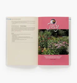 Lee Valley Birding><noscript><img width=