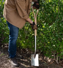 Lee Valley Spades>Border Spade