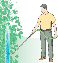 Lee Valley Pest Control><noscript><img width=