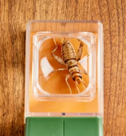 Lee Valley Office><noscript><img width=