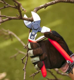 Lee Valley Pruners>Castellari Double-Bladed Pruner