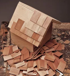 Lee Valley Birding><noscript><img width=