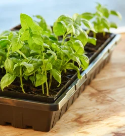 Lee Valley Seed Starting><noscript><img width=