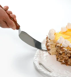 Lee Valley Serveware>Classic Stainless-Steel Cake Knife And Server