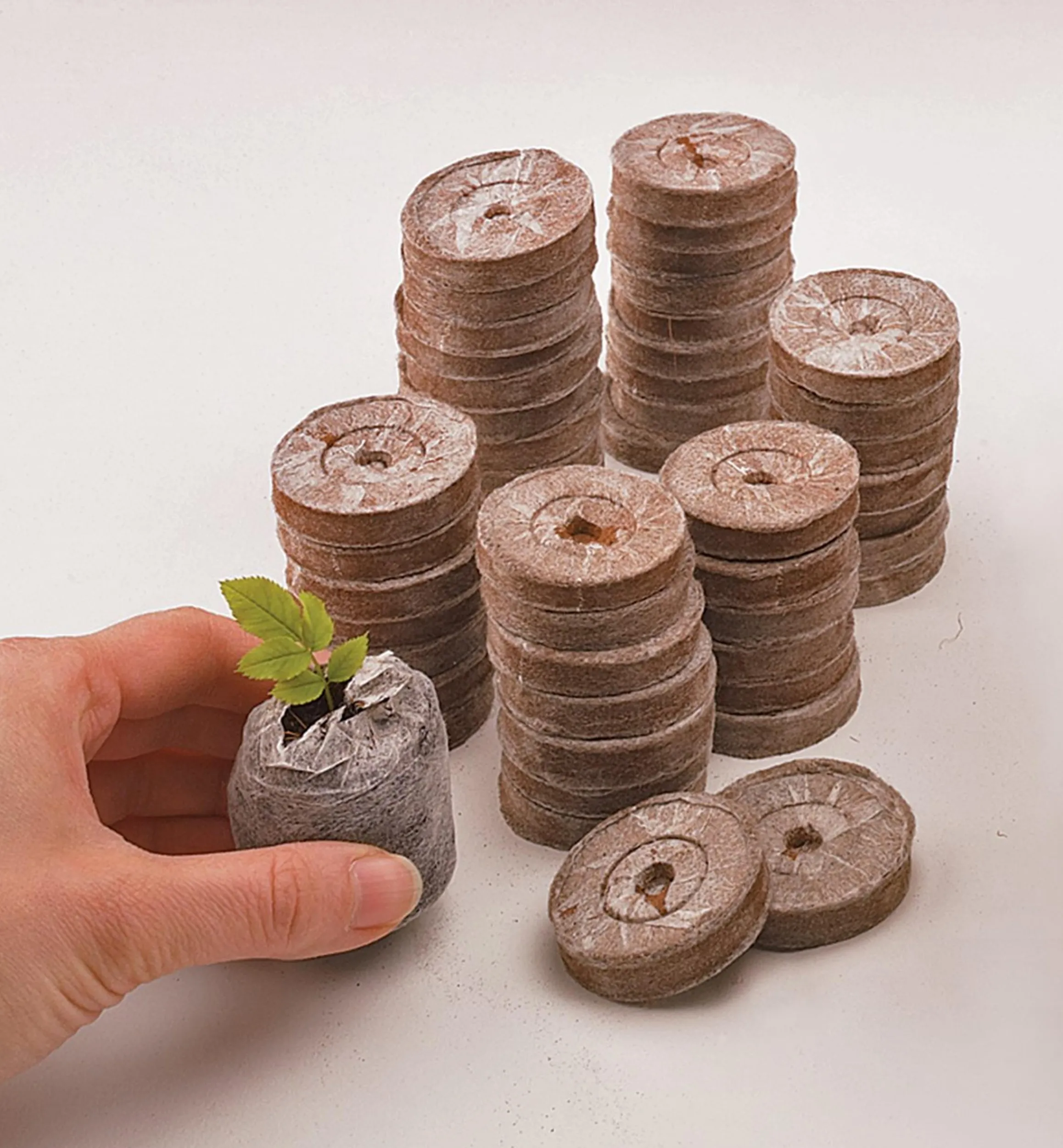 Lee Valley Seed Starting>Coir Pellets