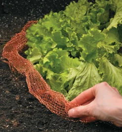 Lee Valley Pest Control>Copper Blocker