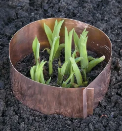 Lee Valley Pest Control>Copper Slug Rings