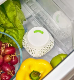 Lee Valley Food Storage>Crisper Insert