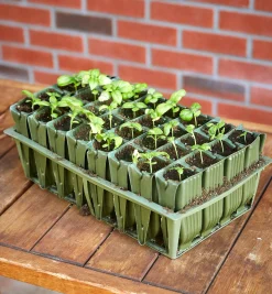 Lee Valley Propagation>Deep Rootrainers Set