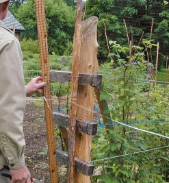 Lee Valley Pest Control><noscript><img width=