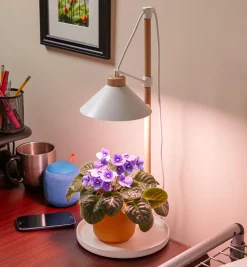 Lee Valley Grow Lights>Desktop LED Grow Lamp