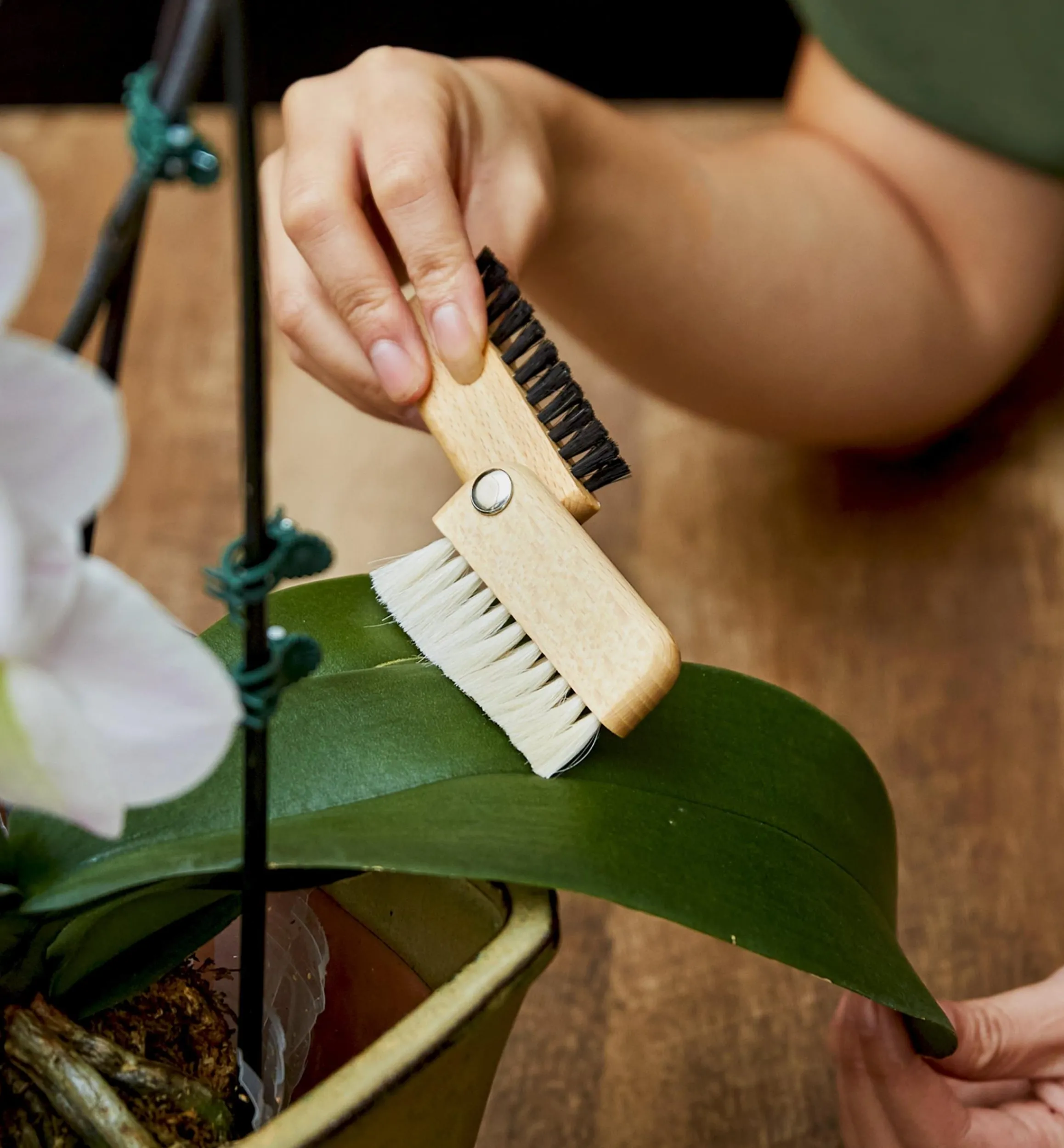 Lee Valley Cleaning>Detail Dusting Brush