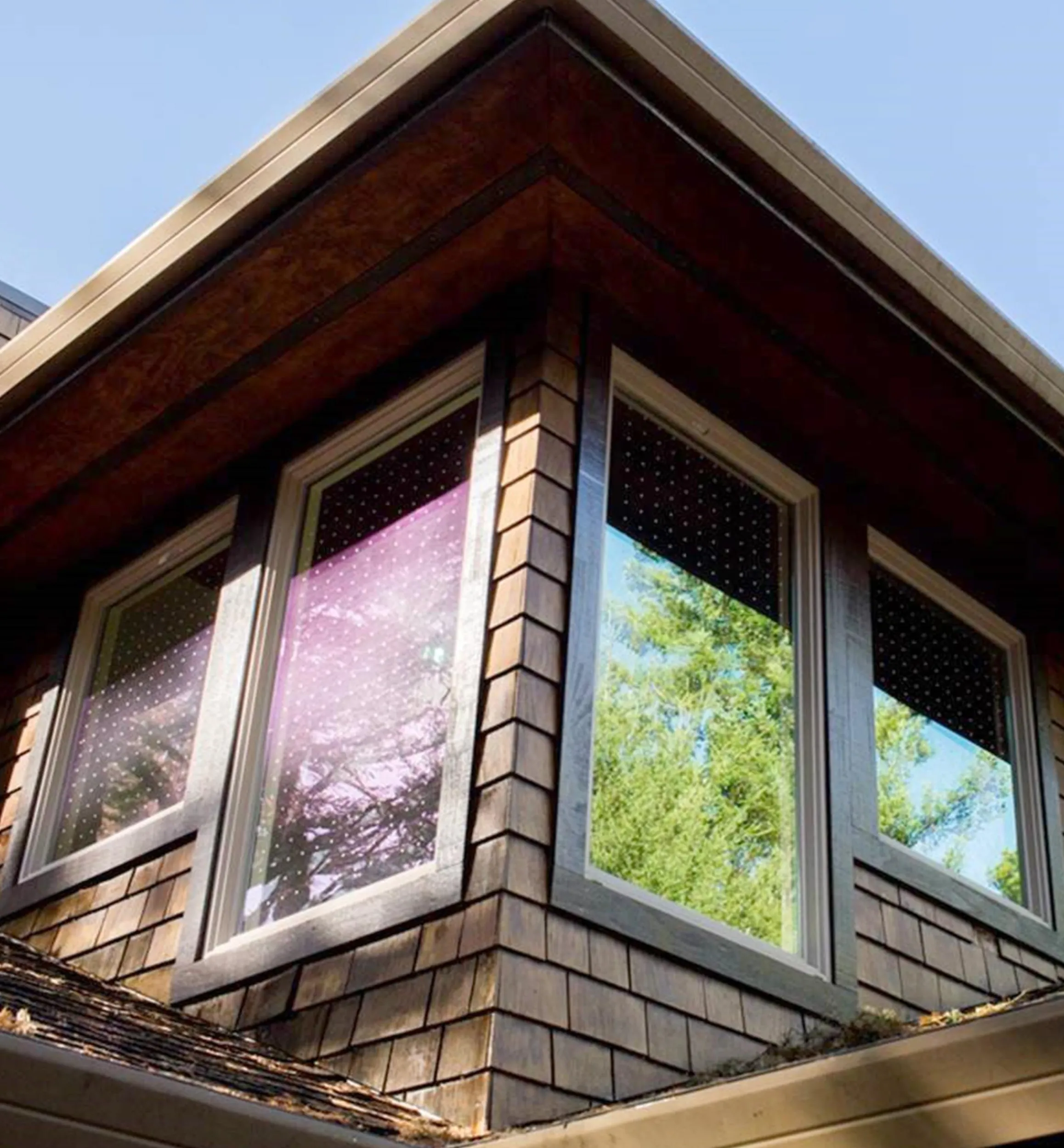 Lee Valley Pest Control>Feather Friendly Window Collision Tape