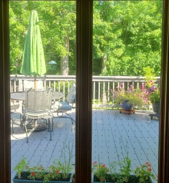 Lee Valley Pest Control><noscript><img width=