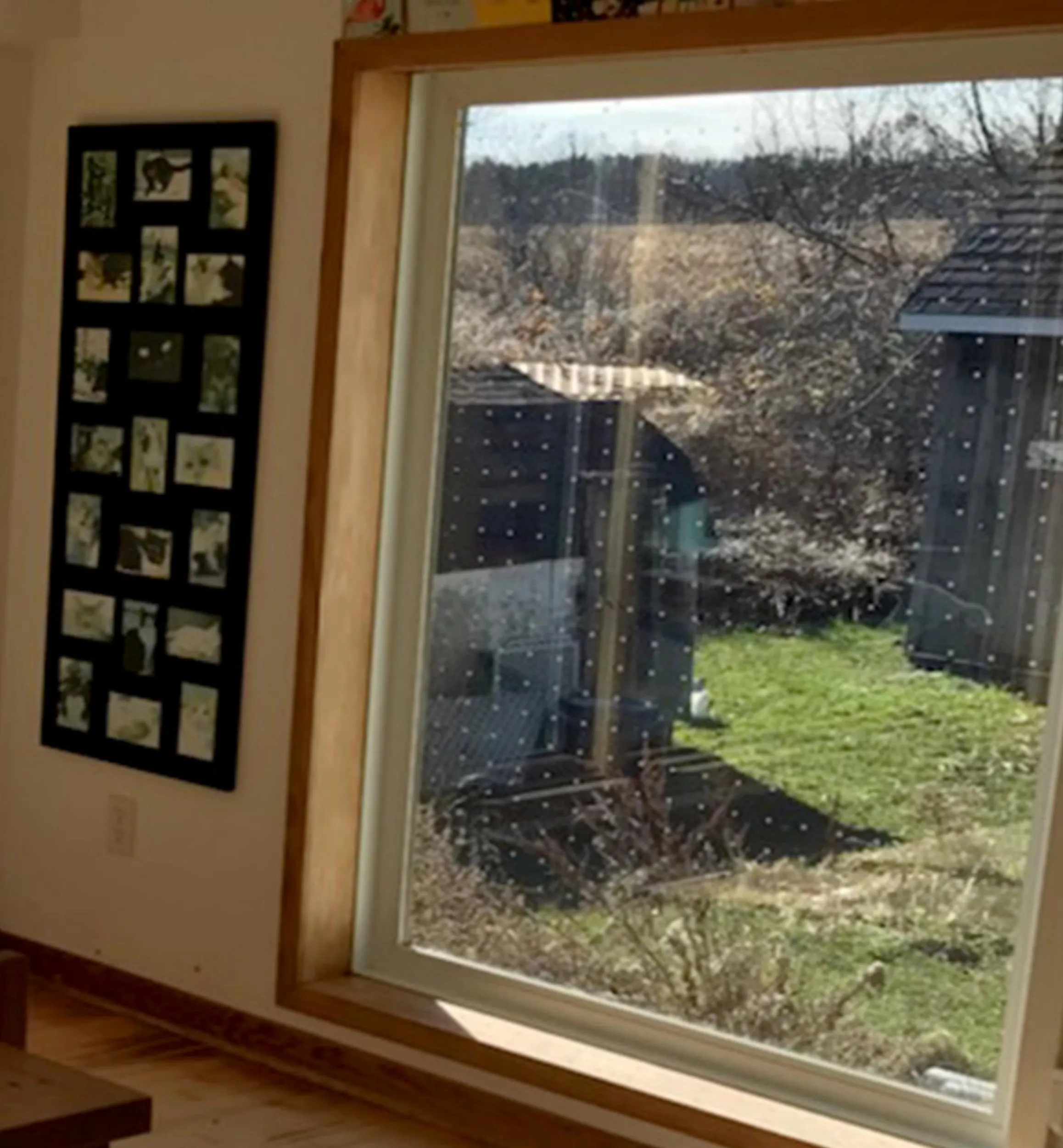 Lee Valley Pest Control>Feather Friendly Window Collision Tape