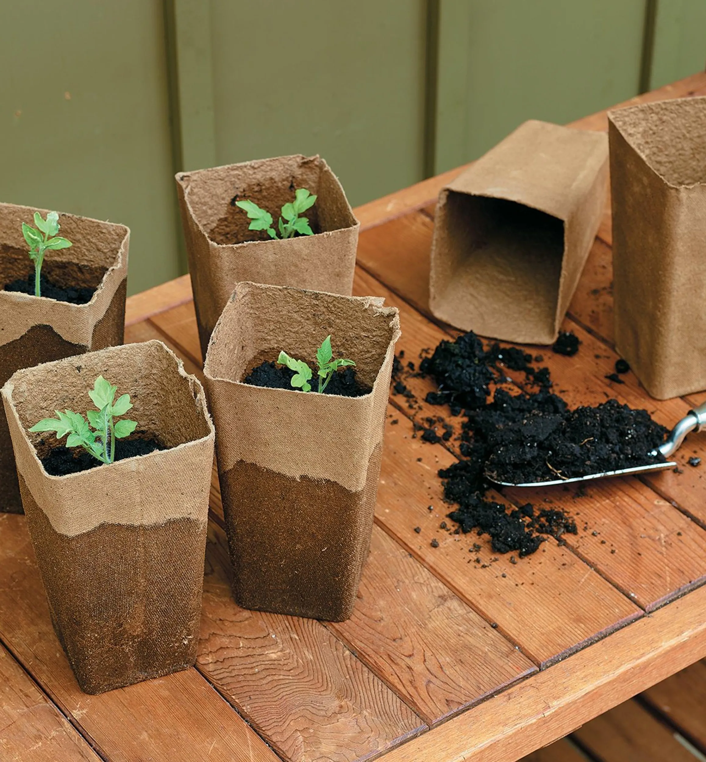 Lee Valley Seed Starting>Fiber Pots