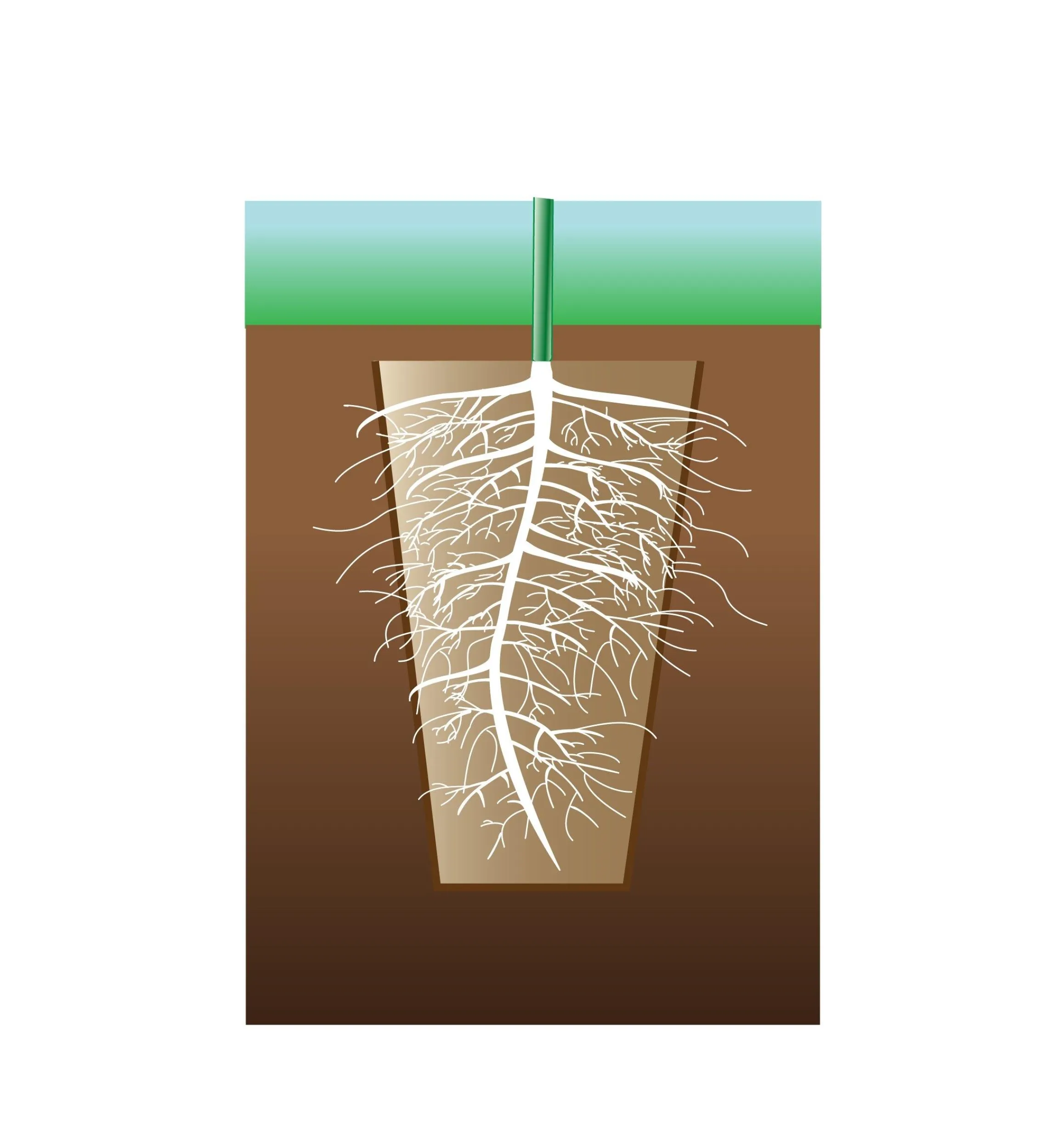 Lee Valley Seed Starting>Fiber Pots