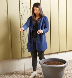 Lee Valley Stakes><noscript><img width=