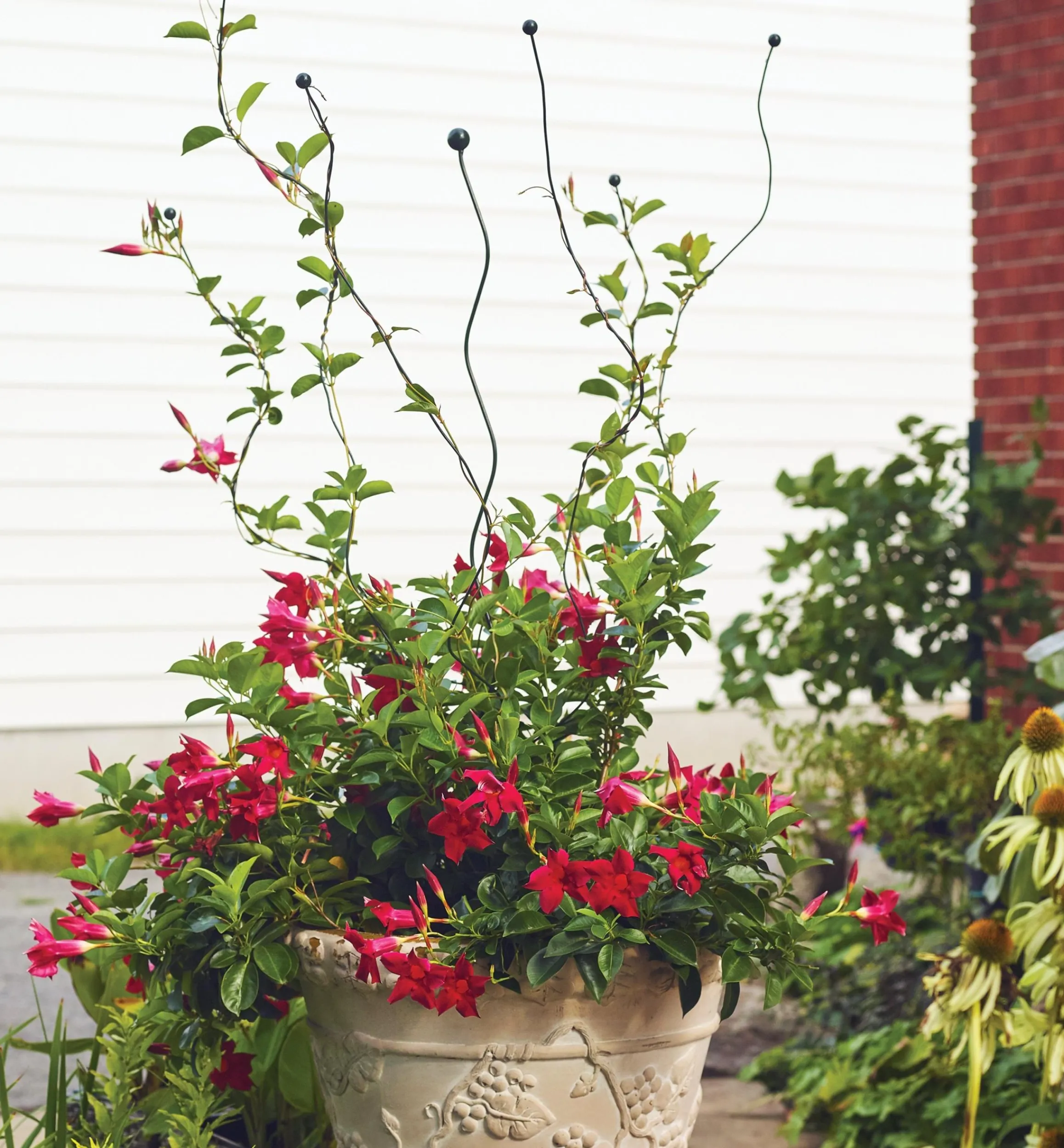 Lee Valley Stakes>Flexible Garden Stake