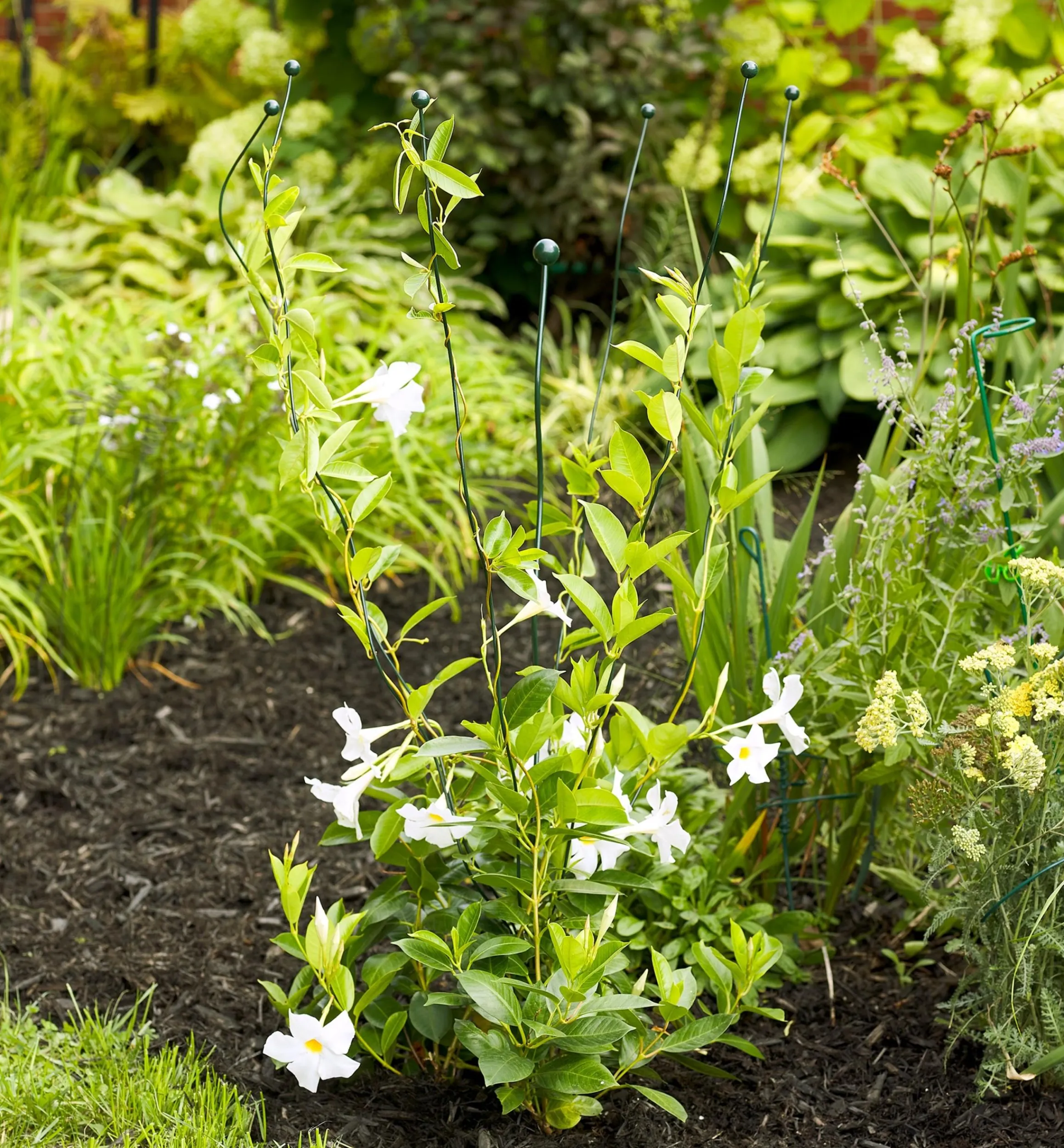 Lee Valley Stakes>Flexible Garden Stake