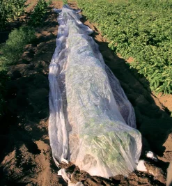 Lee Valley Plant Protection>Floating Row Cover