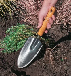 Lee Valley Trowels><noscript><img width=