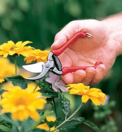 Lee Valley Pruners><noscript><img width=