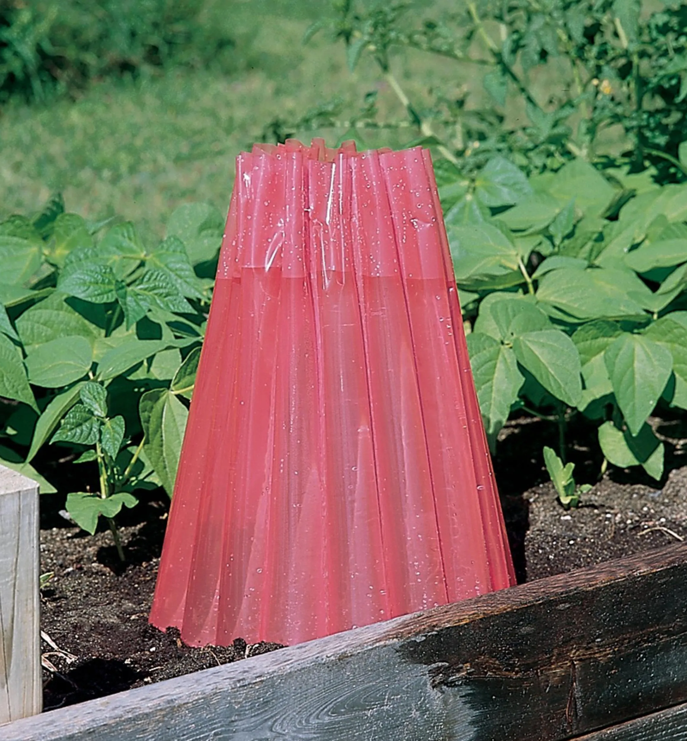 Lee Valley Plant Protection>Frost Protectors