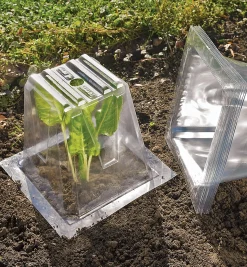 Lee Valley Plant Protection>Garden Cloches