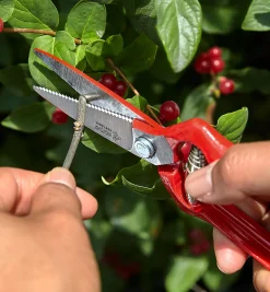 Lee Valley Pruners>General-Purpose Pruner & Shears Set