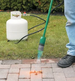 Lee Valley Weeding><noscript><img width=