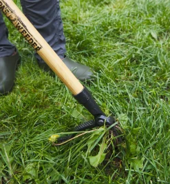 Lee Valley Weeding><noscript><img width=