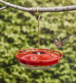 Lee Valley Birding>Hanging Hummingbird Feeder