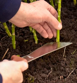 Lee Valley Harvesting><noscript><img width=