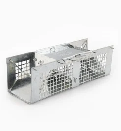 Lee Valley Pest Control><noscript><img width=