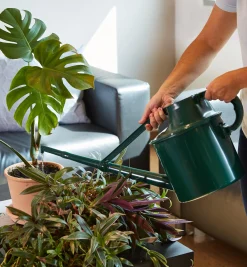 Lee Valley Indoor Gardening>Haws Plastic Watering Can